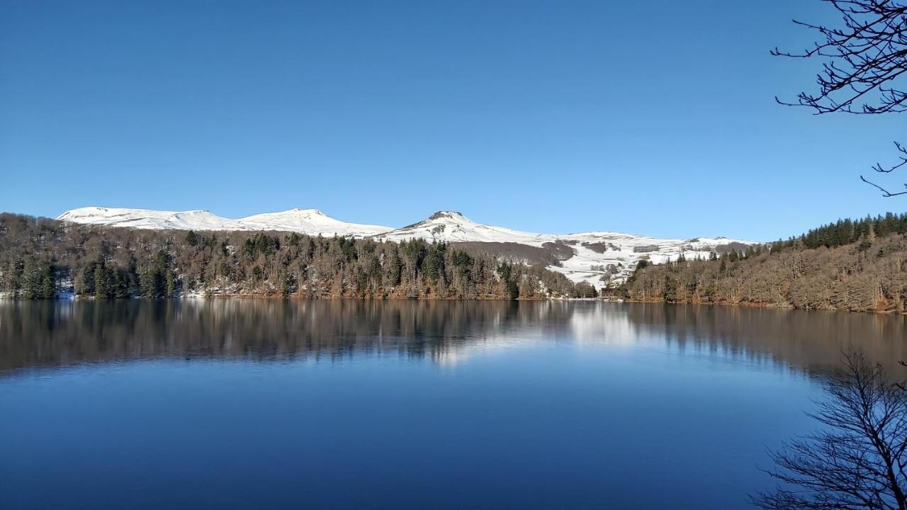 La Foret Des Marmottes